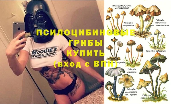 СК Алексин