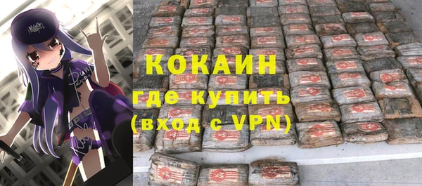 шишки Иннополис