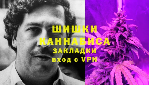 спайс Алзамай