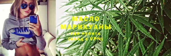 СК Алексин