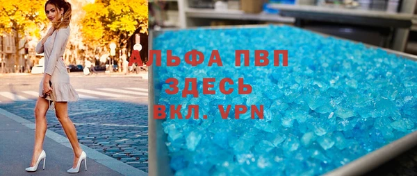 СК Алексин