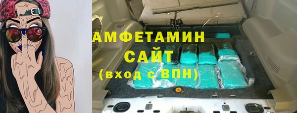 СК Алексин